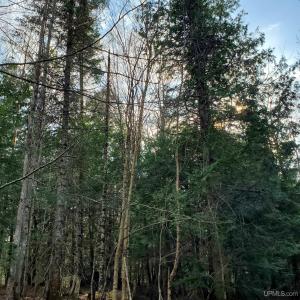 TBD Motley Rd, Nisula, Michigan 49952