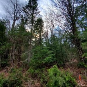 TBD Motley Rd, Nisula, Michigan 49952