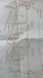 ALSINA , Maipú, Mendoza 00001, Argentina