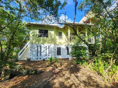 Placencia Peninsula , Placencia, Stann Creek 00001, Belize