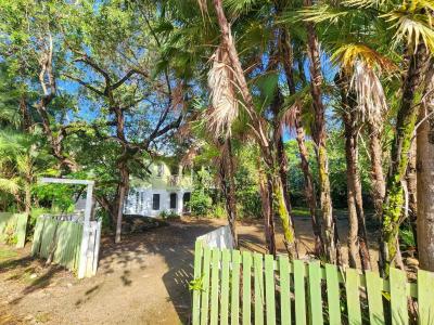 Placencia Peninsula , Placencia, Stann Creek 00001, Belize