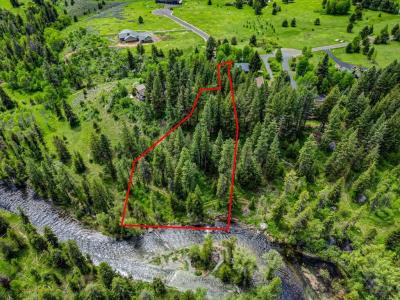 Comfort Court lot: 2 2, McCall, Idaho 83638
