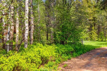 Comfort Court lot: 2 2, McCall, איידהו 83638, ארצות הברית של אמריקה