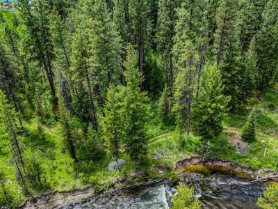 Comfort Court lot: 2 2, McCall, איידהו 83638, ארצות הברית של אמריקה