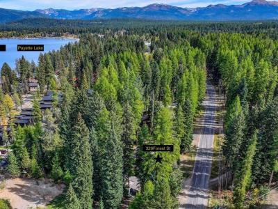 329 Forest Street, McCall, Idaho 83638, USA