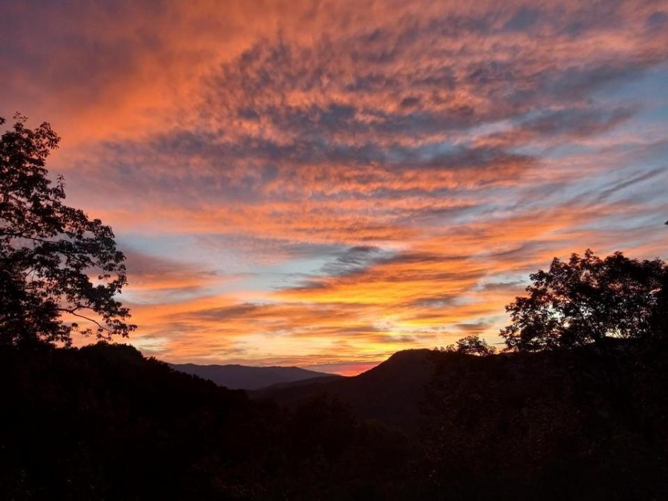 7031 Black Bear Trail, Hiawassee, Georgia 30546