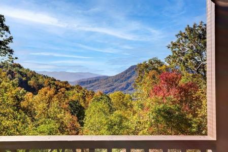 7031 Black Bear Trail, Hiawassee, Georgia 30546