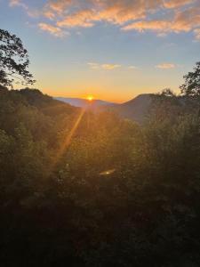 7031 Black Bear Trail, Hiawassee, Georgia 30546