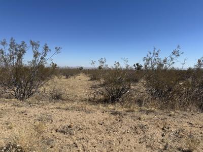 0 E Vic Avenue W8 182 Ste, Palmdale, Kalifornien 93591, USA