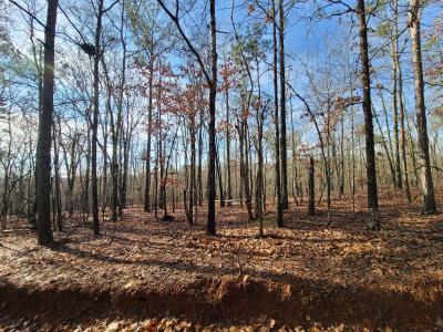 BLK 34 LOT 6 JUNIPER WAY, Waverly Hall, Georgia 31831, USA