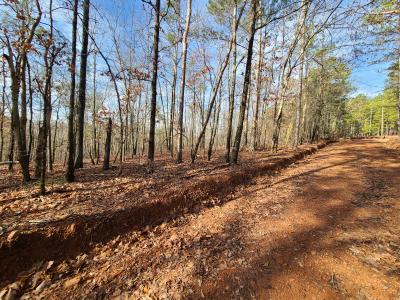 BLK 34 LOT 6 JUNIPER WAY, Waverly Hall, جورجيا 31831, الولايات المتحدة