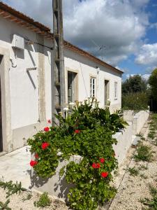 Tomar, Santarem 2300-317, Portugal