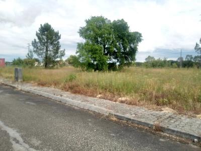 Coruche, 聖塔倫 2100-651, 葡萄牙