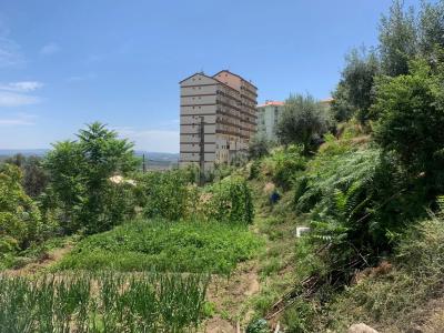 Covilhã, Castelo Branco 6200-165, Portugal