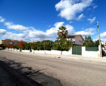 Entroncamento, Santarém 2330-001, Portugal