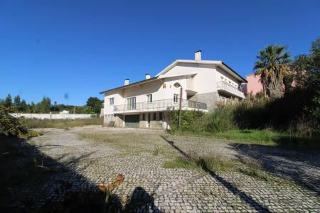 Entroncamento, Santarem 2330-001, Portugal