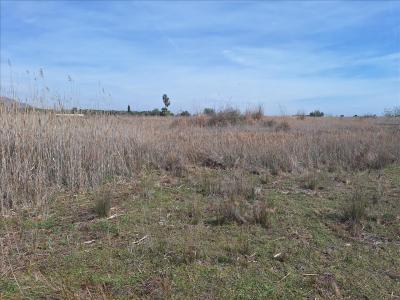 València/Valencia, Comunitat Valenciana 46540, ספרד