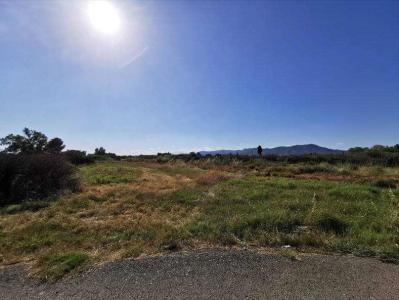 València/Valencia, Comunitat Valenciana 46540, ספרד