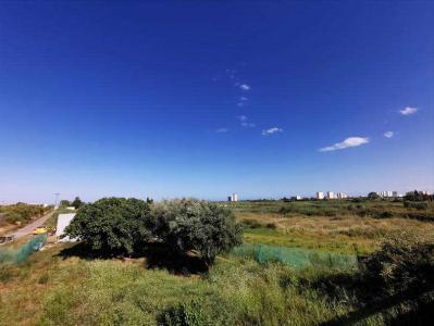 València/Valencia, Comunitat Valenciana 46540, ספרד