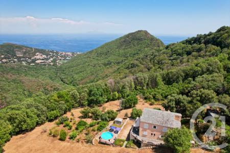 San Martino Di Lota, Corse 20200, צרפת