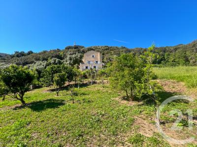 San Martino Di Lota, Corse 20200, צרפת