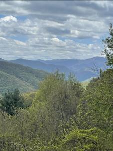 0000 Jerome Lane, Leicester, Carolina Do Norte 28748, Estados Unidos