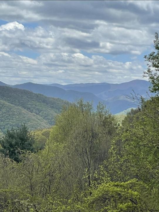 0000 Jerome Lane, Leicester, North Carolina 28748, USA