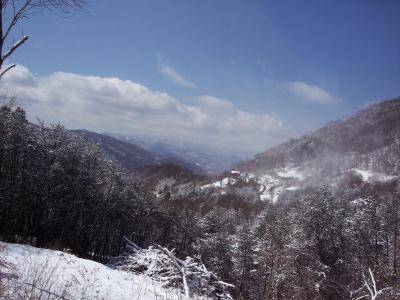 0000 Jerome Lane, Leicester, North Carolina 28748, USA