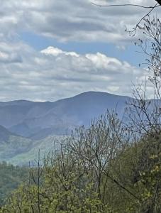 0000 Jerome Lane, Leicester, North Carolina 28748, USA