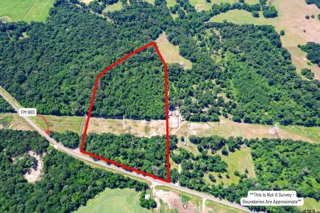 NW Corner FM 900 & CR 3170, Mt Vernon, Texas 75457, Stati Uniti