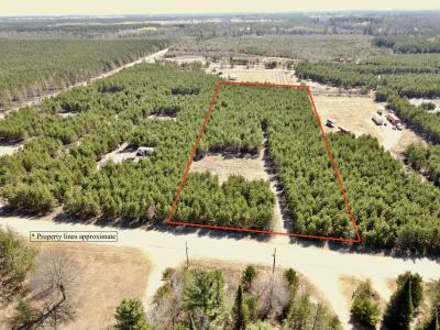 2476 Kelch Rd, Tomahawk, Wisconsin 54487, USA