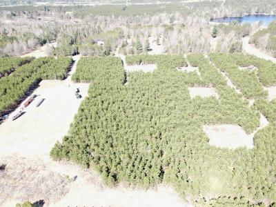 2476 Kelch Rd, Tomahawk, Wisconsin 54487