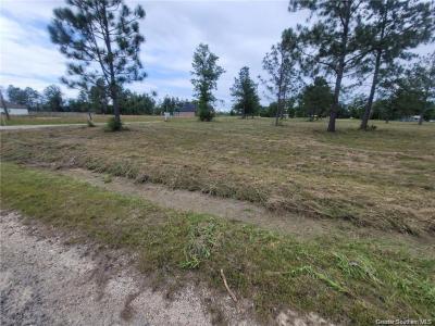 0 John Mcfatter Road, Ragley, Louisiana 70657