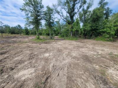 0 John Mcfatter Road, Ragley, Louisiana 70657