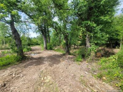 0 John Mcfatter Road, Ragley, Louisiana 70657
