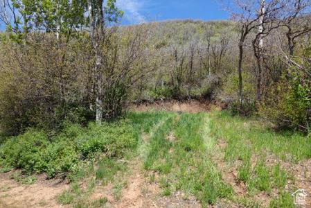 558 MILL RD 136, Huntsville, يوتا 84317, الولايات المتحدة