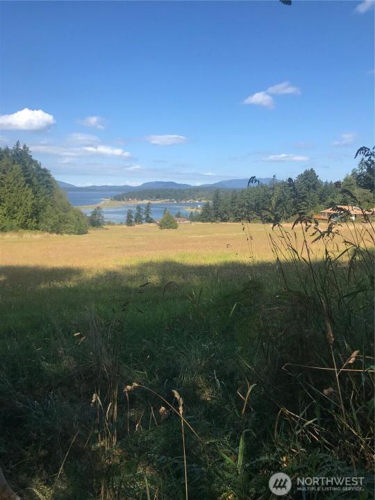 0 Channel Road, Lopez Island, Washington 98261, Stati Uniti