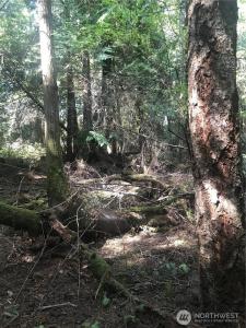 0 Channel Road, Lopez Island, Washington 98261, Stati Uniti