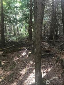 0 Channel Road, Lopez Island, Washington 98261, Stati Uniti