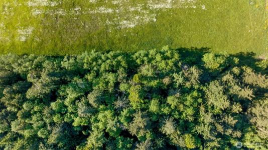 0 Channel Road, Lopez Island, Washington 98261, Stati Uniti
