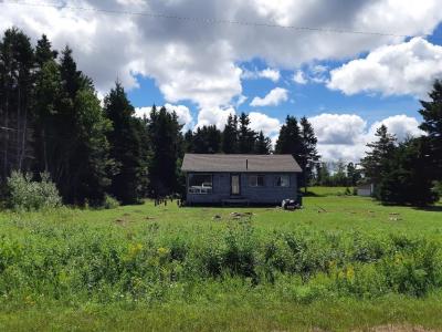 134 JOCKOS CAPE ROAD, Cascumpec, 艾德華王子島 C0B 1B0, 加拿大