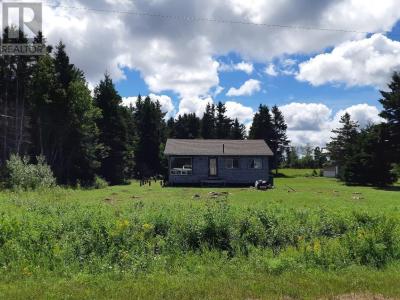 134 JOCKOS CAPE ROAD, Cascumpec, 艾德華王子島 C0B 1B0, 加拿大