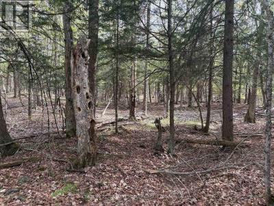 0 FELBERS ROAD, Tudor And Cashel (tudor Ward), Ontario K0L 1C0, Kanada