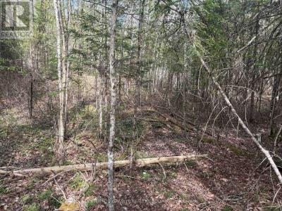 0 FELBERS ROAD, Tudor And Cashel (tudor Ward), Ontario K0L 1C0, Kanada