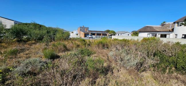 Gansbaai, Western Cape, South Africa