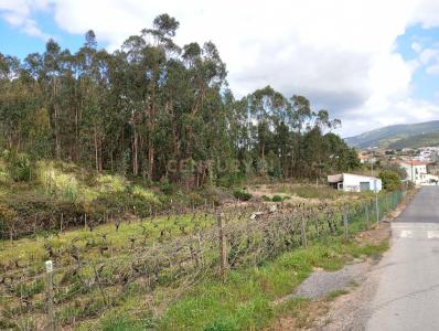 Cadaval, Lisbon 2550, Portugal