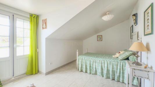 Cartaxo, Santarém 2070-078, Portugal