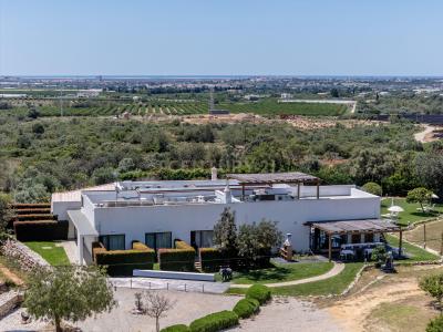 Faro, Faro 8005-502, Portugal