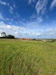 Torres Vedras, Lisbon 2560-038, Portugal