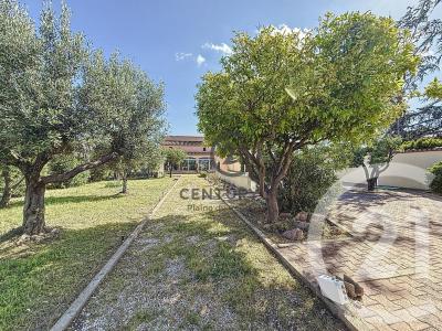 Pia, Languedoc-Roussillon 66380, Francia